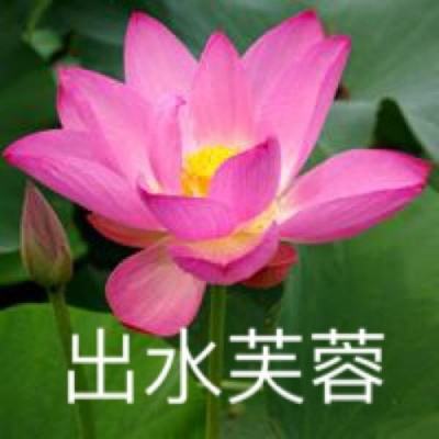 逍遥武林手游